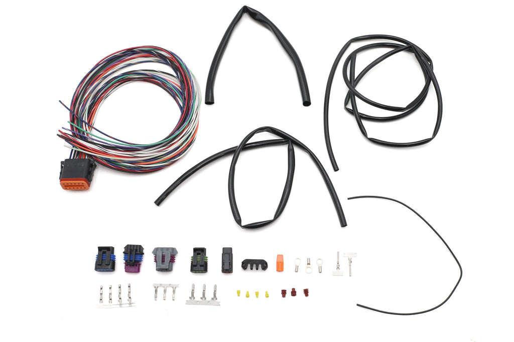 Twin Cam Ignition Harness