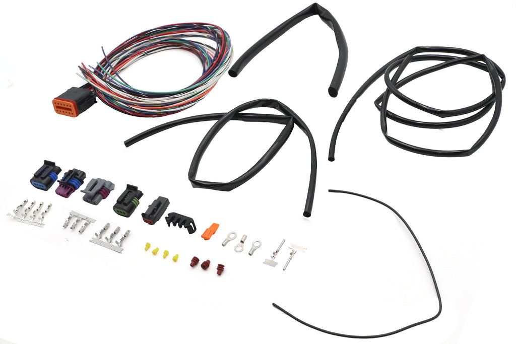Twin Cam Ignition Harness