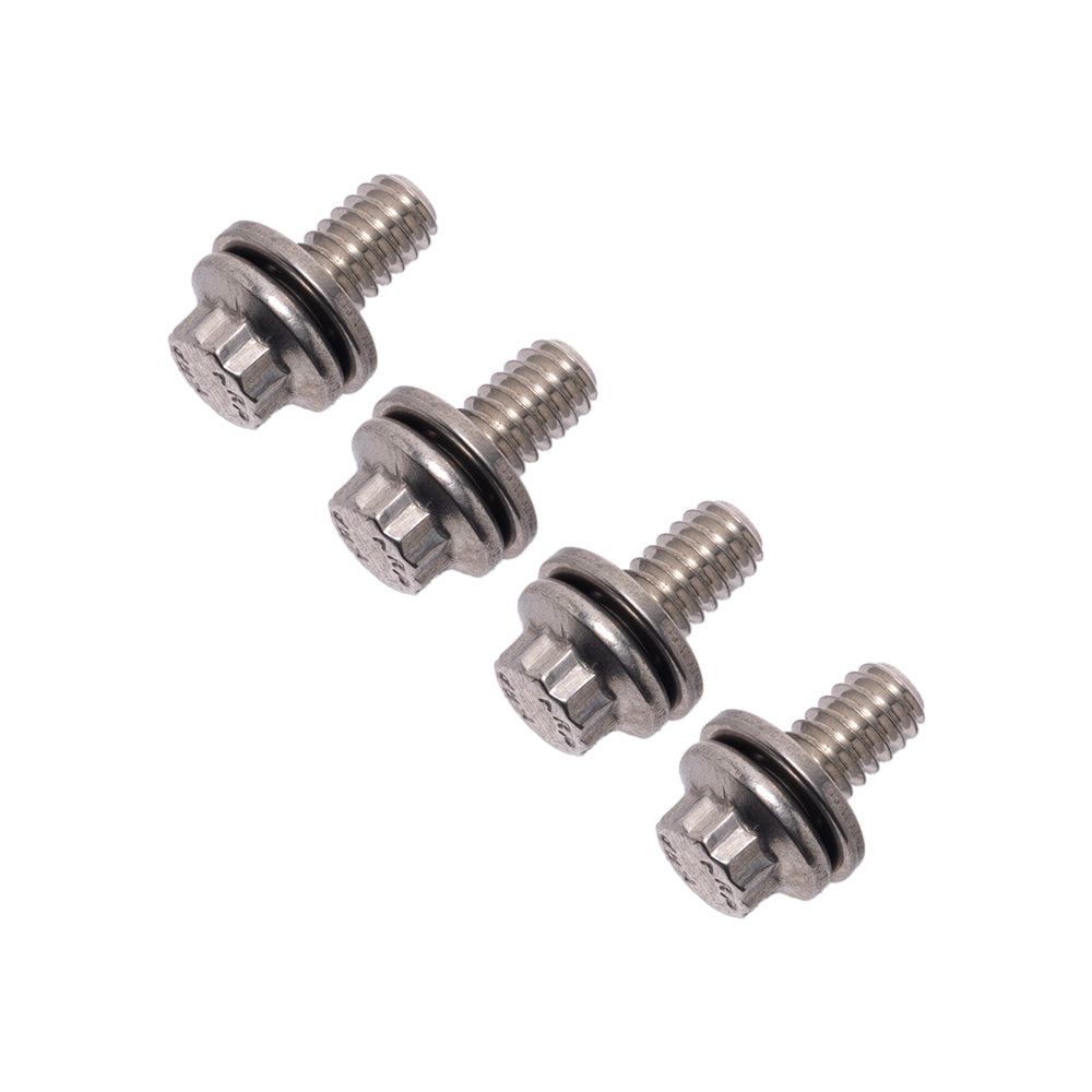 ARP Bolt kit for Low Rider S/ST Front Fender