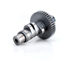 Harley Davidson Big Twin Evolution 224/224 At .053.