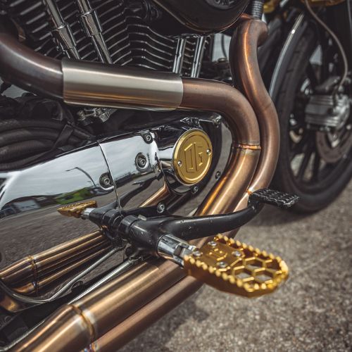 OG Gold Plating Evo's and Sportster Points Cover on 2012 Sportster XL1200
