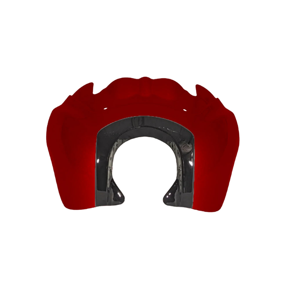 OG Softail Low Rider S Complete T-Sport Fairing Kit - Red Rock