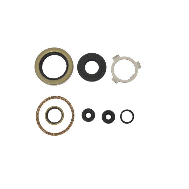 Athena Harley-Davidson 74in & 80 Engine Oil Seal Kit P400195370896